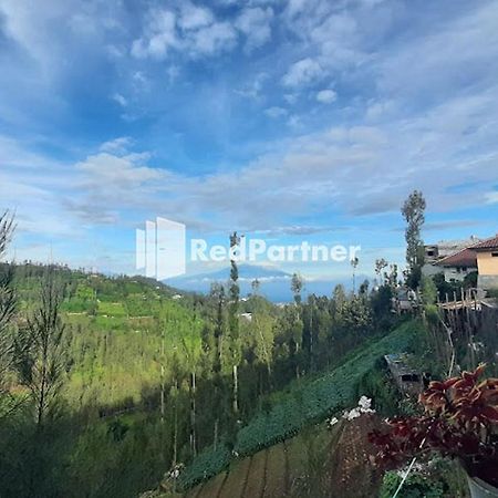 פסורואן Bromo Indah Lestari Homestay Mitra Reddoorz מראה חיצוני תמונה